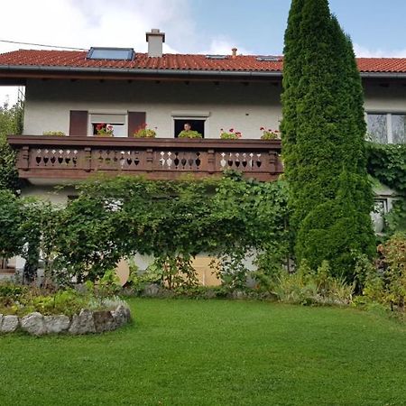 Ferienwohnung Bosch Seeg Eksteriør bilde